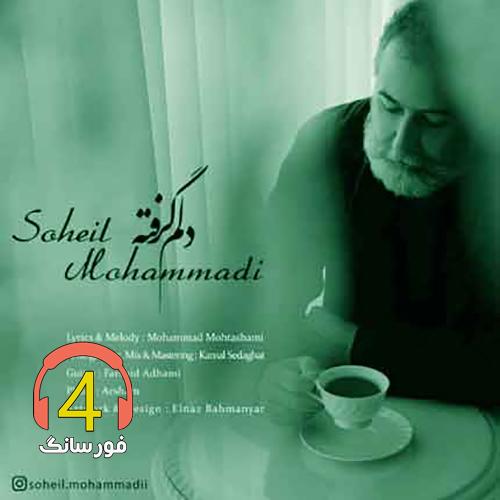 آهنگ دلم گرفته از سهیل محمدی