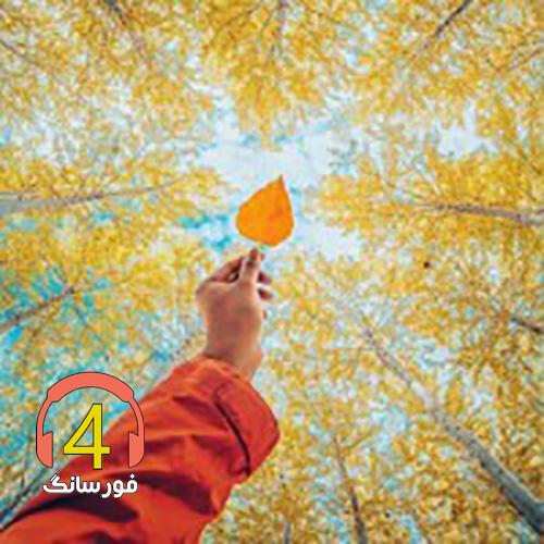 آهنگ تز گل ترکی- ار تو شیرینی دی بوه لری