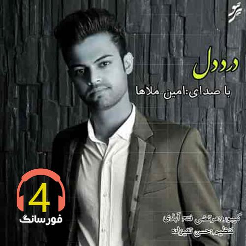 آهنگ درد دل از امین ملاها