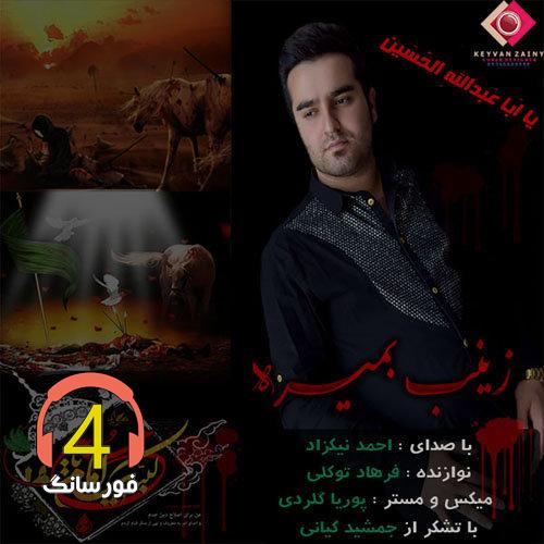 آهنگ زینب بمیره از احمد نیکزاد