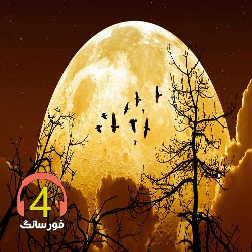 آهنگ نمیچینوم گلی از غلام عباس حسن زاده
