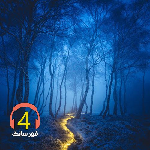 آهنگ تو که گفتی از سعید قدسی