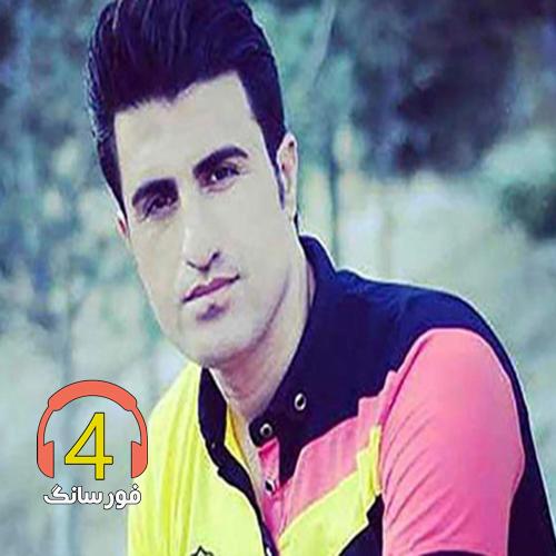 آهنگ شیدای دیدارت از محسن لرستانی-مینا-نیستی