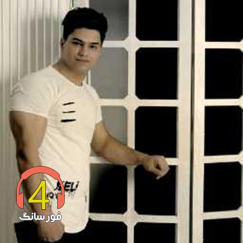 آهنگ پیدا نمیشه از علی برزنونی