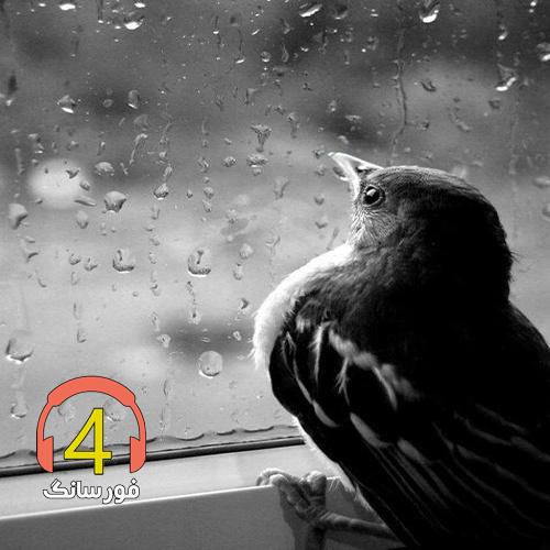 آهنگ بچیم ریحون از فرزانه فقیهی