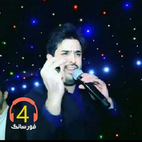 آهنگ فلک از محسن دولت و هادی منجی-دلم خوش بود