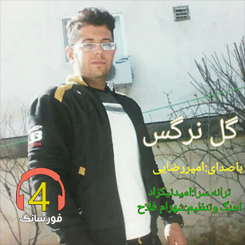 آهنگ گل نرگس از امیر رضایی