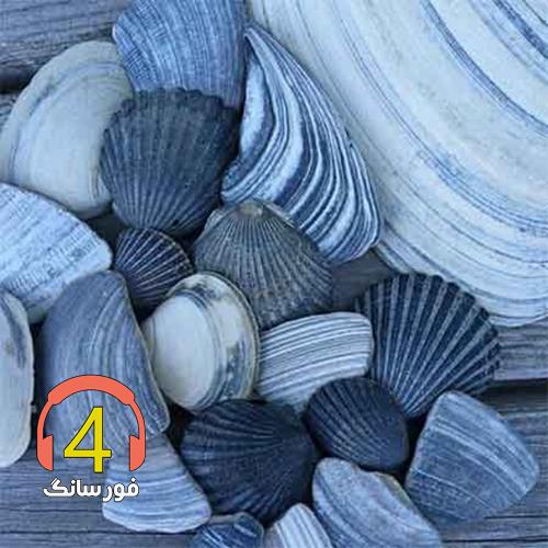 آهنگ خیری ندیدیم از میلاد شکاری
