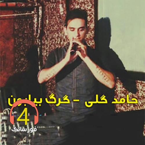 آهنگ گرگ بیابون از حامد گلی