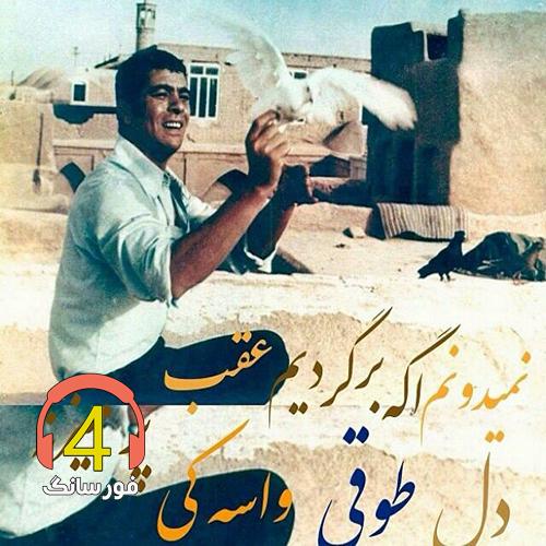 آهنگ طوقی از نیما مظفری