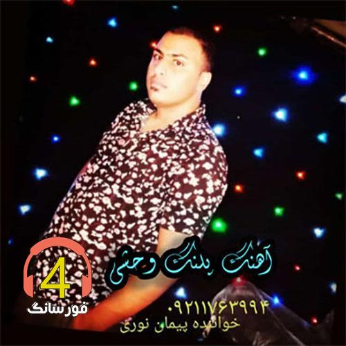 آهنگ پلنگ وحشی از پیمان نوری