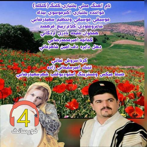 آهنگ کلنگ از اکبر موسوی