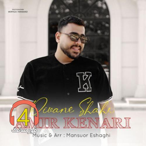 آهنگ دیوانه شهر از امیر کناری