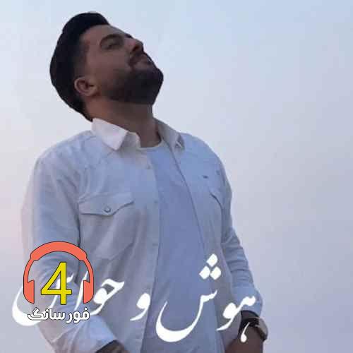 آهنگ هوش و حواس از مجید حسینی