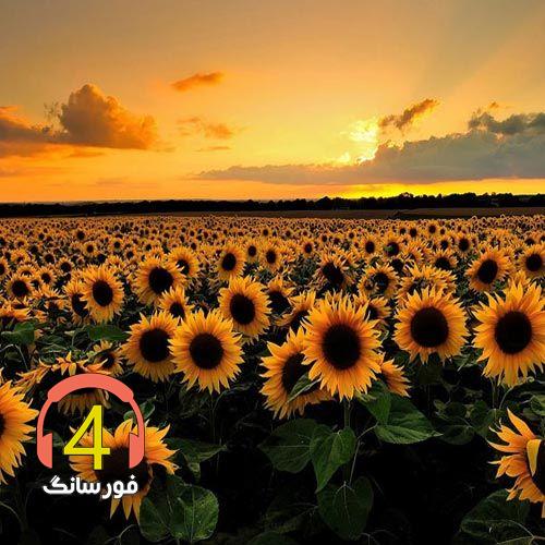 آهنگ دلبر مشکی پوش از علی تقی نژاد