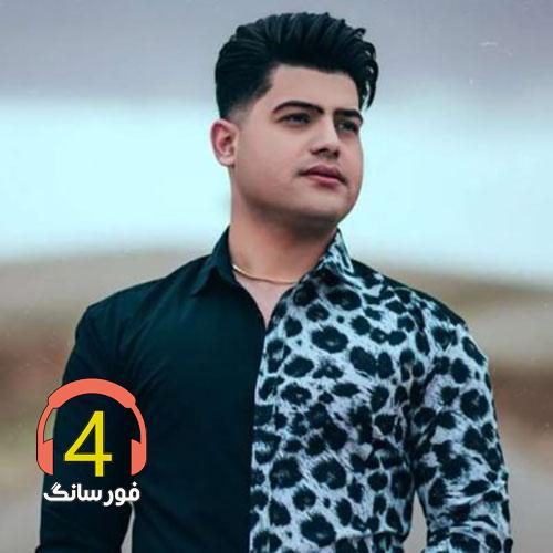 امیر حافظ زنجبر