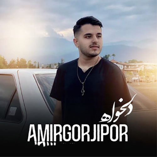 Amir-Gorji-Delkhah