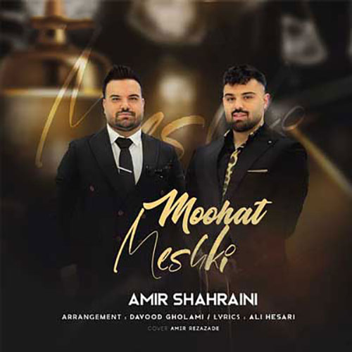 امیر شهرایینی