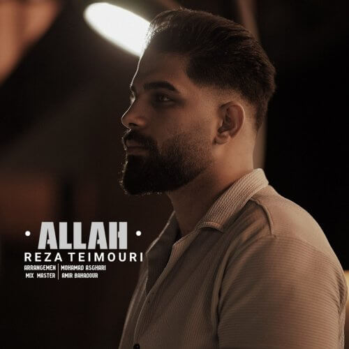 رضا تیموری