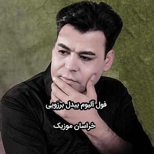 آهنگ های بیدل برزویی-فول البوم